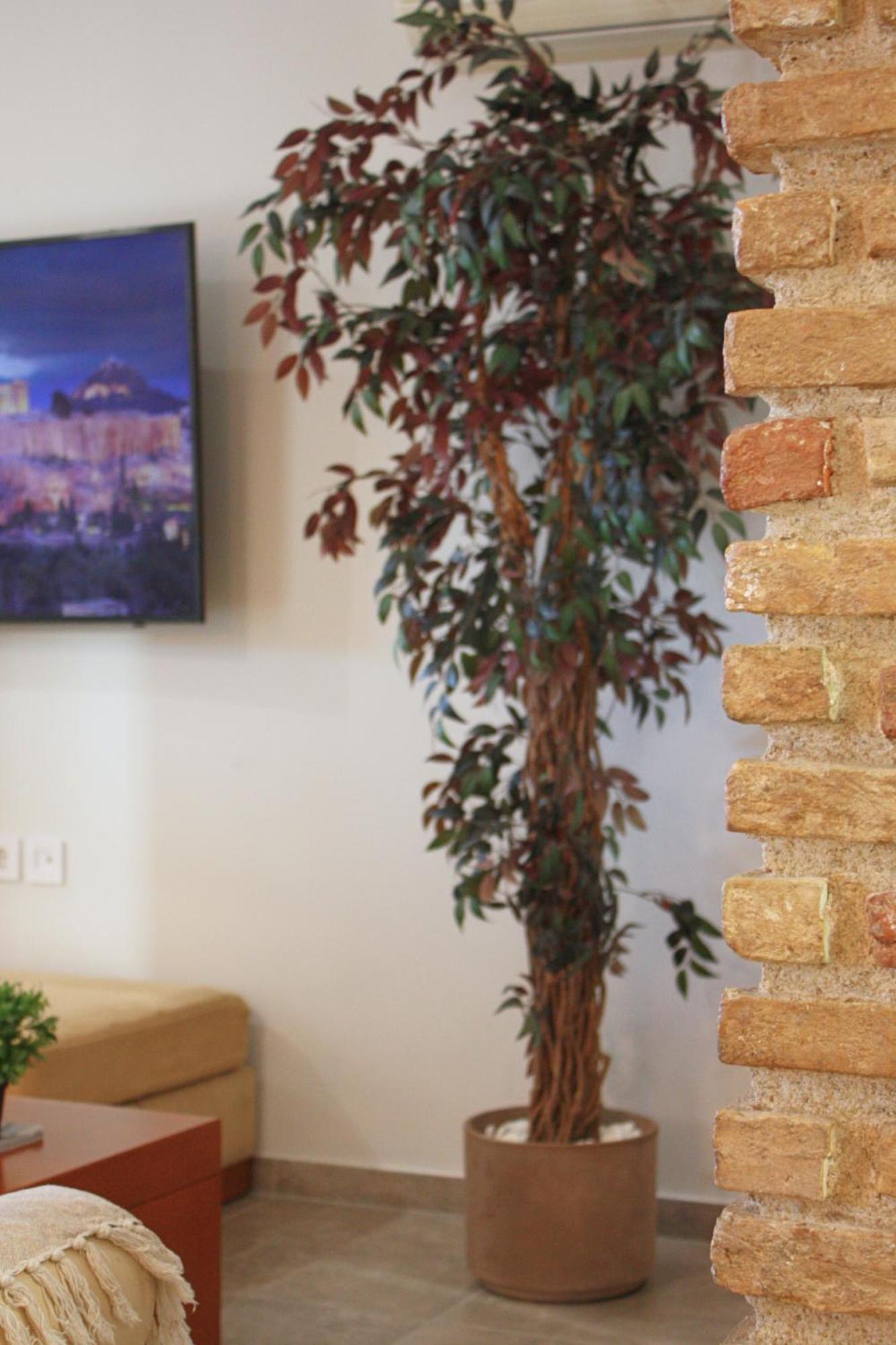 Camara Suite Kos Bagian luar foto